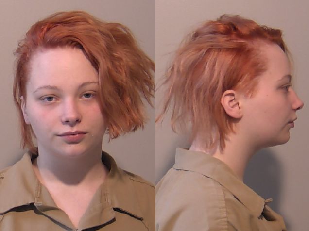 Niagara County Sheriff's Department