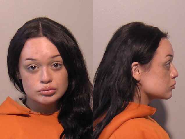 Niagara County Sheriff's Department