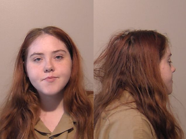 Niagara County Sheriff's Department