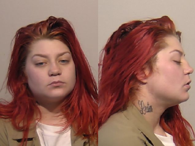 Niagara County Sheriff's Department