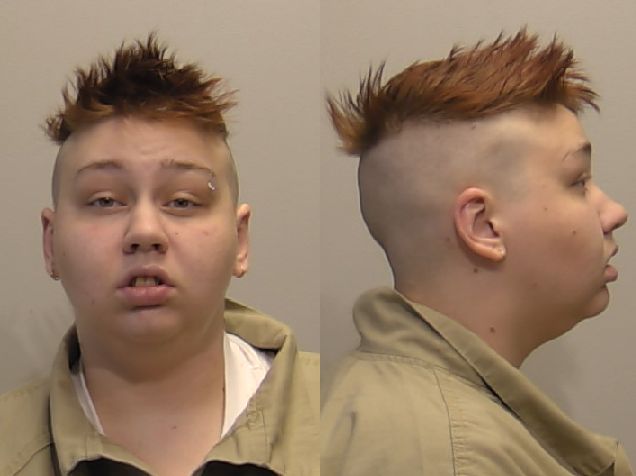 Niagara County Sheriff's Department