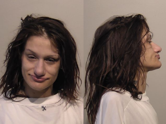 Niagara County Sheriff's Department