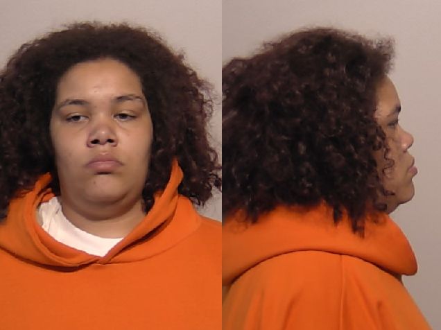 Niagara County Sheriff's Department