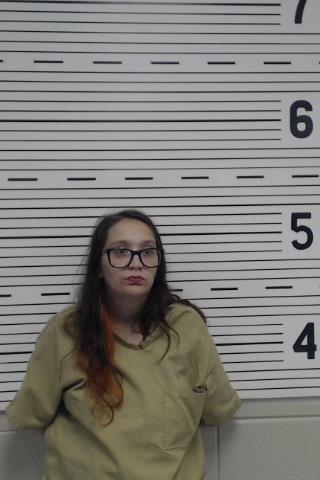 Booking photo of PRIEST, SARA PADEN