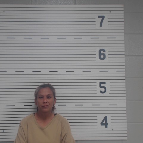 Booking photo of ROSILEZ, ELIZABETH NMN